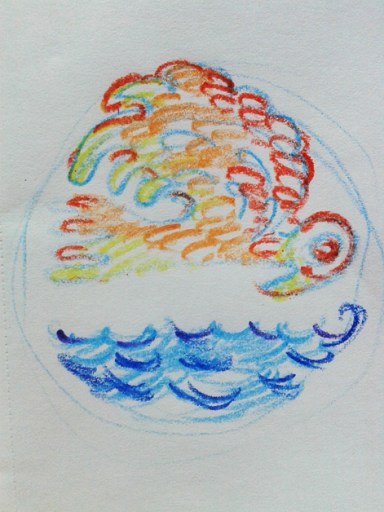 Nembo_uccello cangiante w